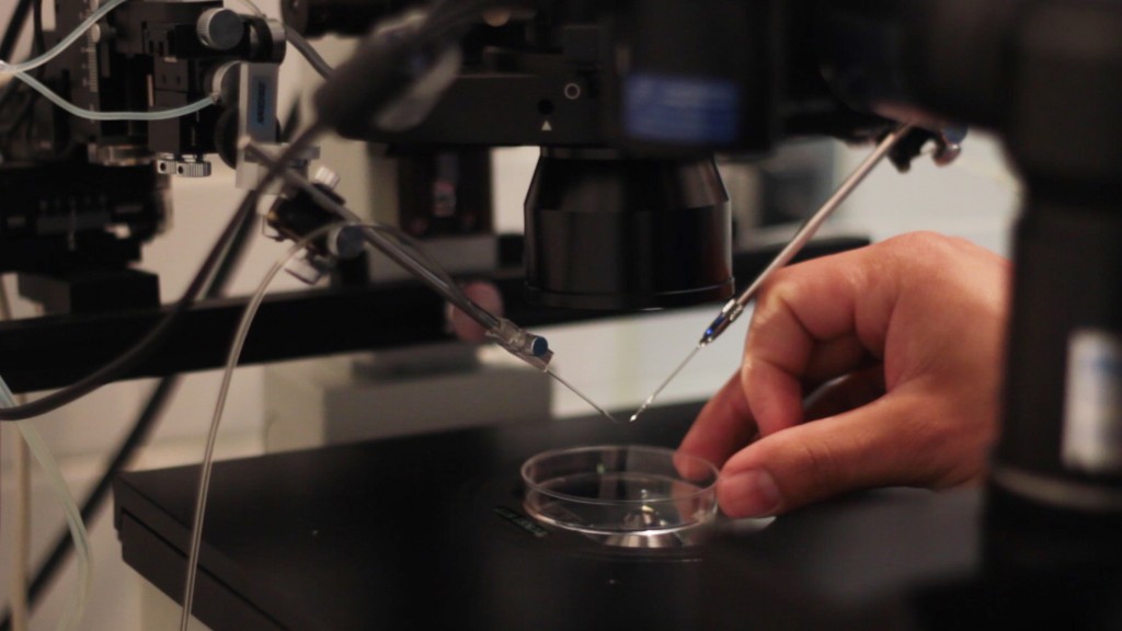Las muestras que están en el banco de semen de la Unidad de Fertilidad de la Clínica Alcívar son de donantes anónimos; estudiantes universitarios, que han calificado por su calidad de semen .