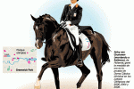 equitacion1_jjoolondres