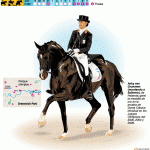 equitacion1_jjoolondres