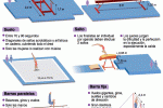 gimnasiaartisticafull_jjoolondres