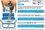 natacion1_jjoolondres