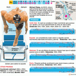 natacion1_jjoolondres