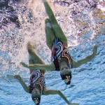LONDRES. La pareja griega Evangelia Platanioti y Despoina Solomou realizan su ejercicio de preliminares de dúos de natación sincronizada durante de los Juegos Olímpicos de Londres 2012. Foto: EFE
