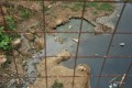 En este canal de la parroquia Juan Gómez Rendón (Progreso) se acumulan las aguas servidas.
