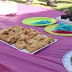 Uno de los platillos presentados en la picnic vegano fueron unos pastelitos de carne de soya. Uno de los platillos presentados en la picnic vegano fueron unos pastelitos de carne de soya.