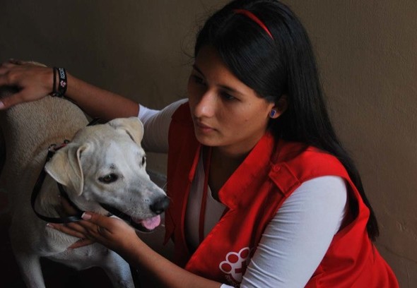 Jordana Valverde junto Blanquita, a quien encontró mientras recorría la ciudad. La perrita necesita alguien que la adopte.