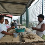 Bélgica Cortez, de 43 años, a diferencia de Enrique Robles se dedica a pelar camarones en la Caraguay.