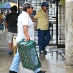 Enrique Robles toma una gaveta para comprar los mariscos que luego venderá en la 15 y Francisco Segura.