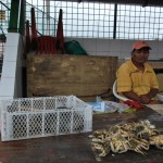 Las jaibas hembras, que miden seis centímetros, son más baratas que los machos de ocho a nueve centímetros. Su costo es de $1,50.