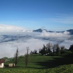 Sector ubicado antes de llegar a Las Guardias, a media hora de la parroquia Régulo de Mora.